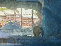 -珠海长隆海洋王国