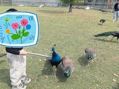 -苏州太湖西山岛开心农场