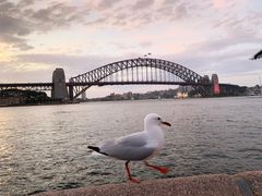 -悉尼海港大桥