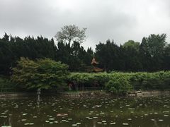-嘉定紫藤园