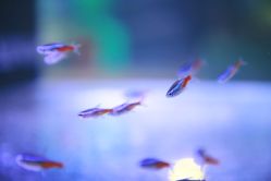 -酷嗒动物文化乐园(cutezoo西溪乐天城店)