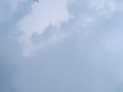-宝安体育馆游泳馆