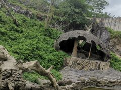 -贵州森林野生动物园