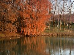 -上海海湾国家森林公园