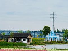 -杭州湾海上花田景区
