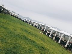 -潭柘厚院(桑峪村店)