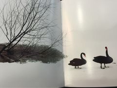 黑天鹅蛋糕(小黄庄店)-BLACKSWAN黑天鹅(环球店)