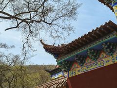 -皇藏峪国家森林公园