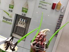 冻酸奶-Salud撒露欧洲冻酸奶(蓝色港湾店)