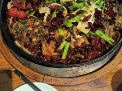 老板恋上鱼-老板恋上鱼(高新万达店)