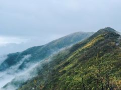 -大围山国家森林公园