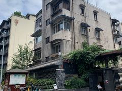 -泡桐树街