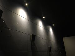 放映厅-CGV影城(壹方城IMAX店)