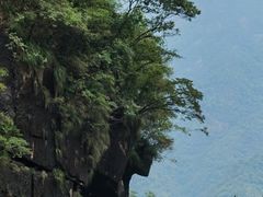 -青龙大瀑布