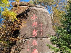 -汤旺河林海奇石景区