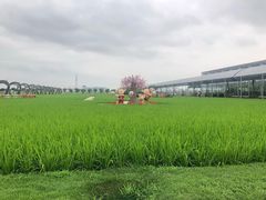 -迪茵湖田家舍生态农场