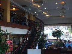 -OLD TREE老树咖啡·西餐厅(台山人工湖店)