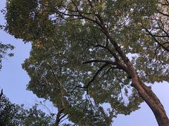 -老君山