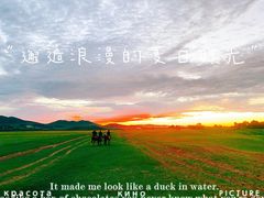 -乌兰布统草原