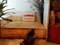-小时光咖啡馆(北锣鼓巷店)