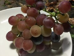 -金谷域澳洲庄园