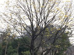 -九华山风景区月身宝殿