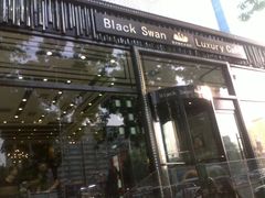 -BLACKSWAN黑天鹅(环球店)