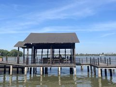 -溱湖国家湿地公园