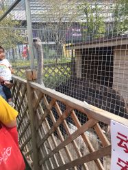 -萌宠亲子动物乐园(槐房万达店)