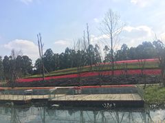 -天府芙蓉园