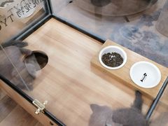 -袖虎·猫馆(体育西路店)