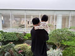 -罗红摄影艺术馆