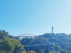 -金鸡山公园