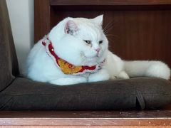 -彳亍咖啡·这里(水湾路店)