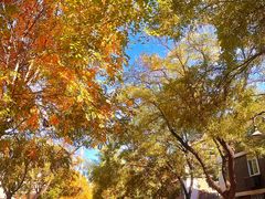 -天津五大道文化旅游区