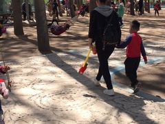 -东方巨龟苑景区