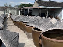 -苏州市吴中区光福窑上花果蜜饯厂