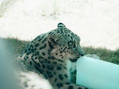 -青藏高原野生动物园