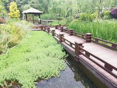 -成飞公园