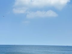 -海岛日记(养马岛店)