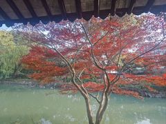 -上海醉白池公园