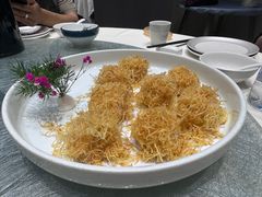 -丁老爷子苏香圆