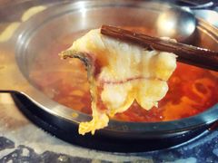 乌鱼片-重庆乌鱼庄·龙滋鲜(青羊大道店)
