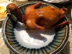 红烧乳鸽-大鸽饭(北京路店)