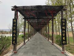 -处女泉风景名胜区
