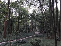 -峨眉山报国寺