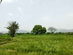 -良渚古城遗址公园