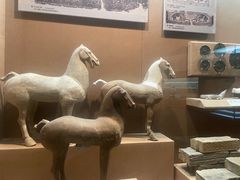-烟台市博物馆