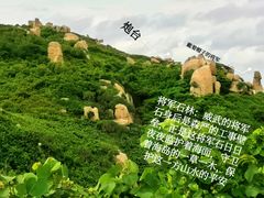 -东澳岛