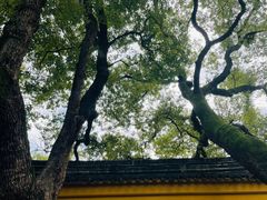 -西园戒幢律寺